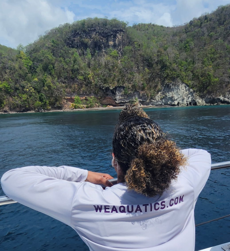 Narwhals swim meet in St Lucia